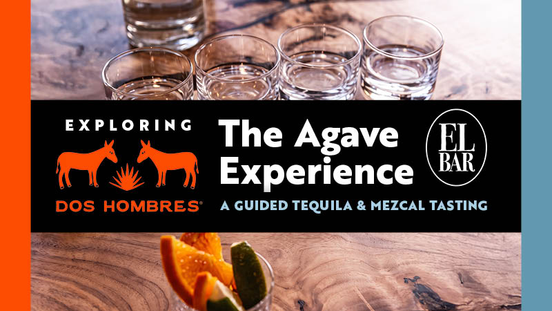 The Agave Experience